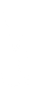 logo V&D Luxury